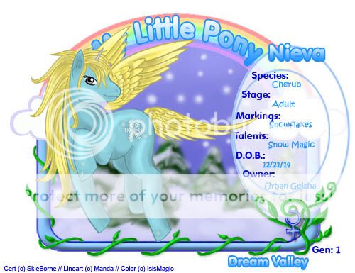 User Image